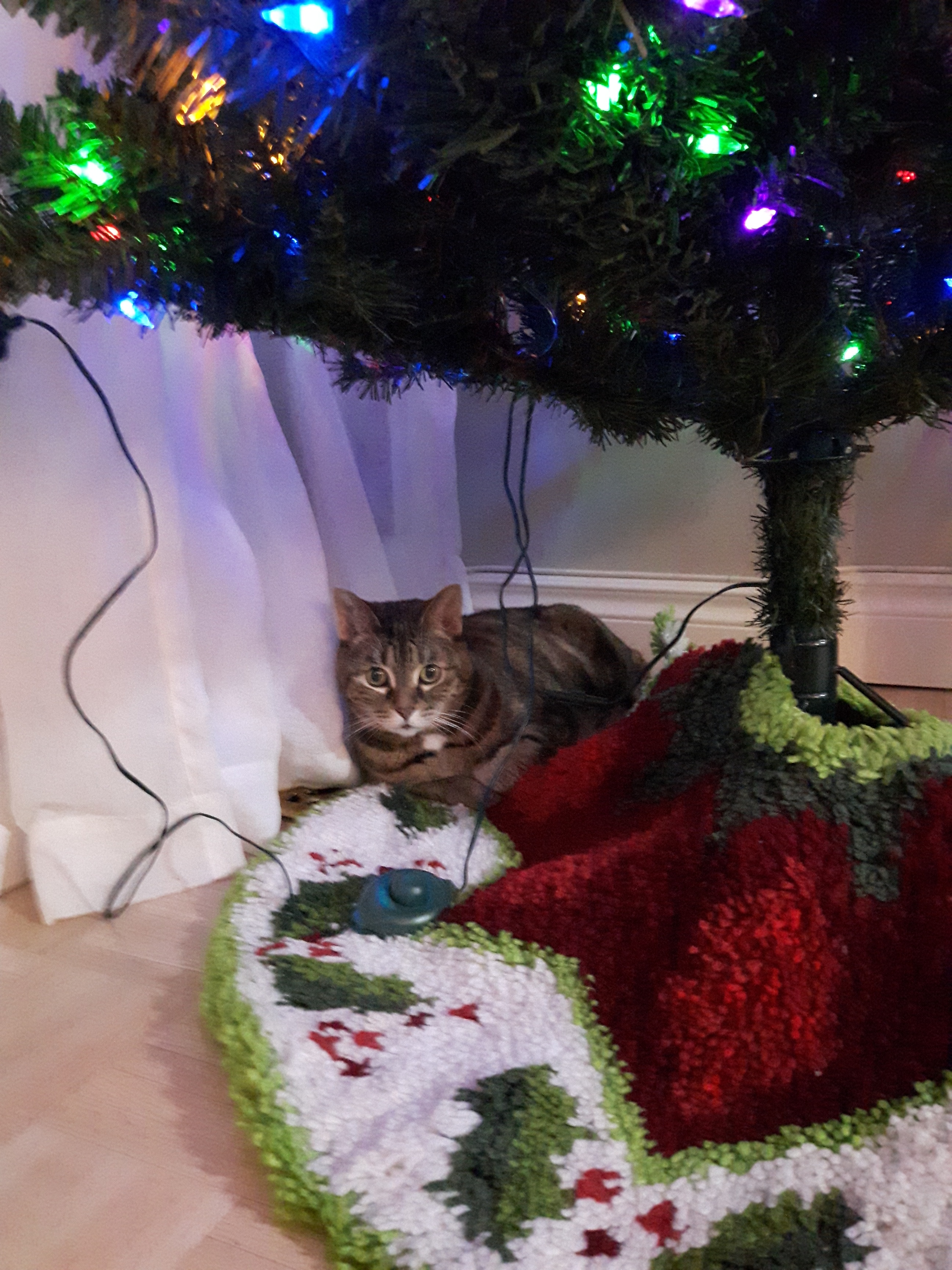 20191207_191510_resized