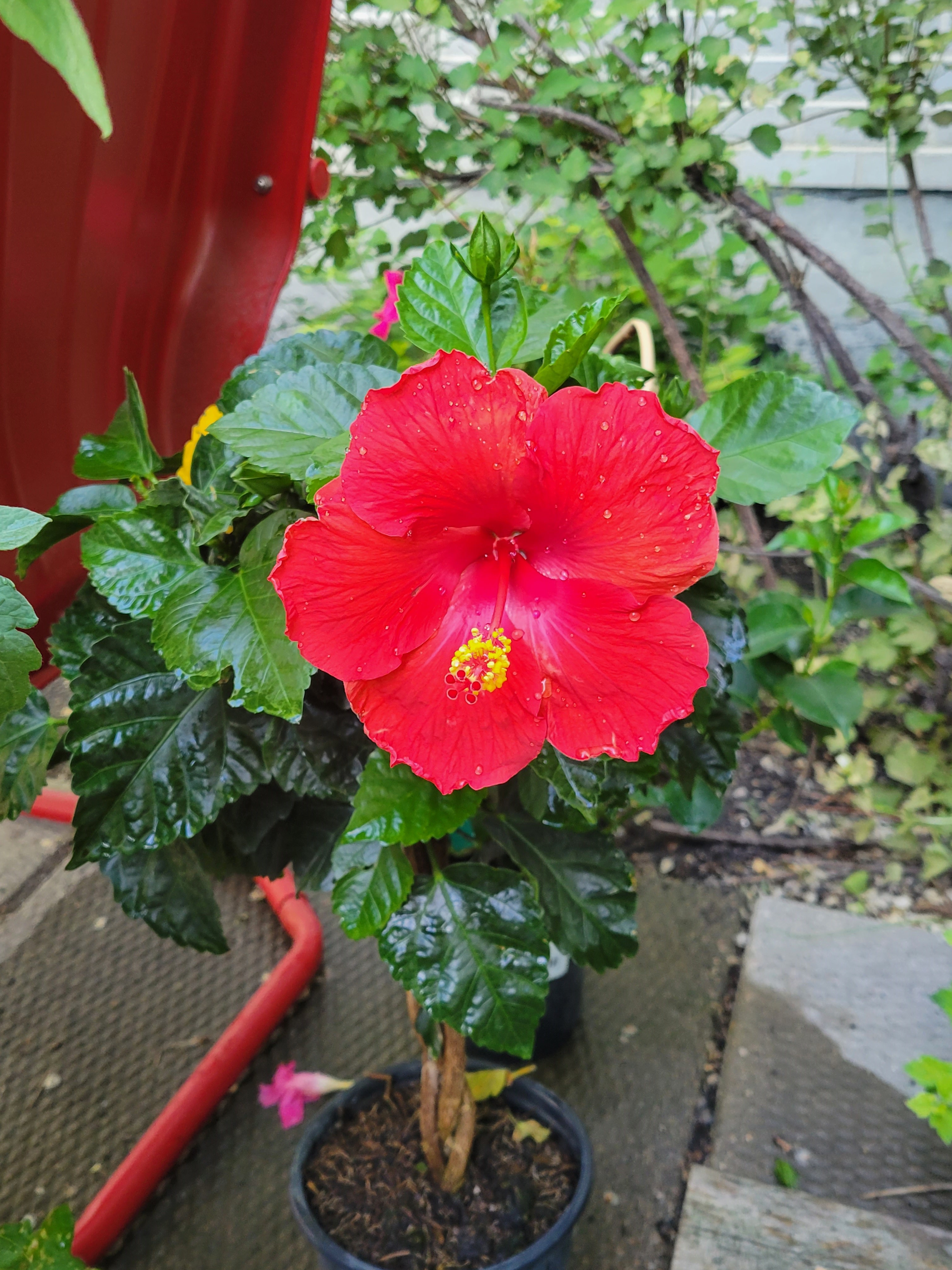 Rural Routes, Blog Version